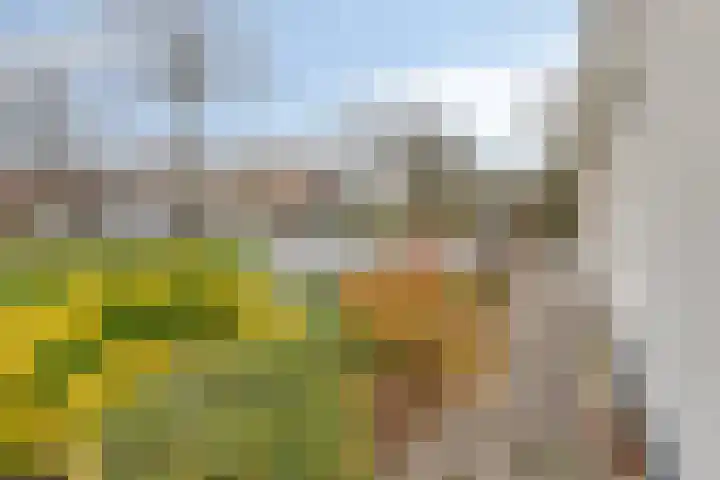 Poldersweegje 5 Dirksland thumbnail 34