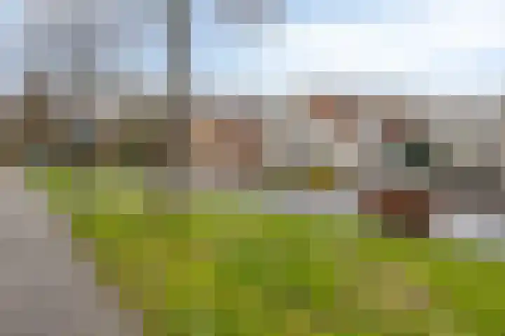 Poldersweegje 5 Dirksland thumbnail 5