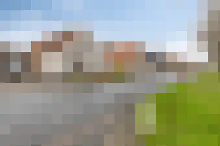 Poldersweegje 5 Dirksland thumbnail 6