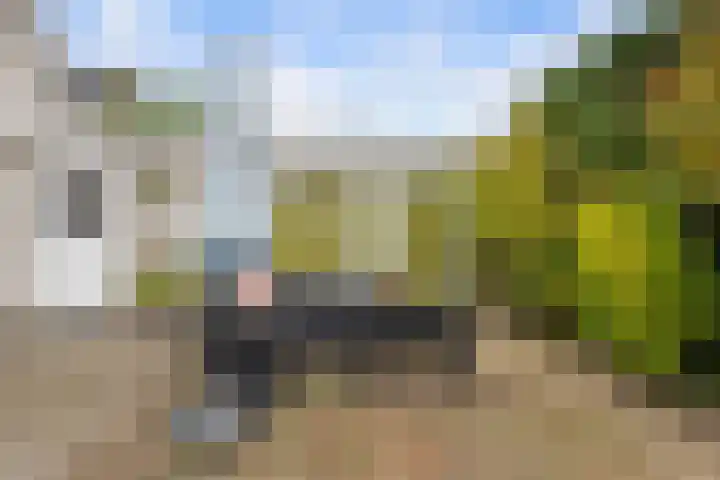 Poldervaart 16 's-Gravendeel thumbnail 33