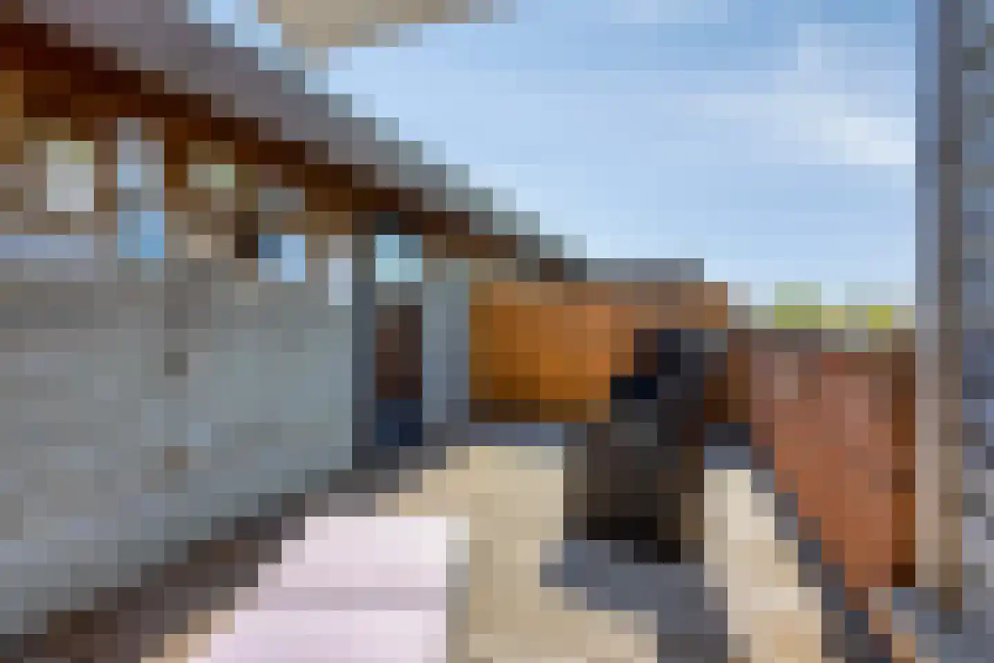 Poldervaart 4 Beuningen Gld thumbnail 30