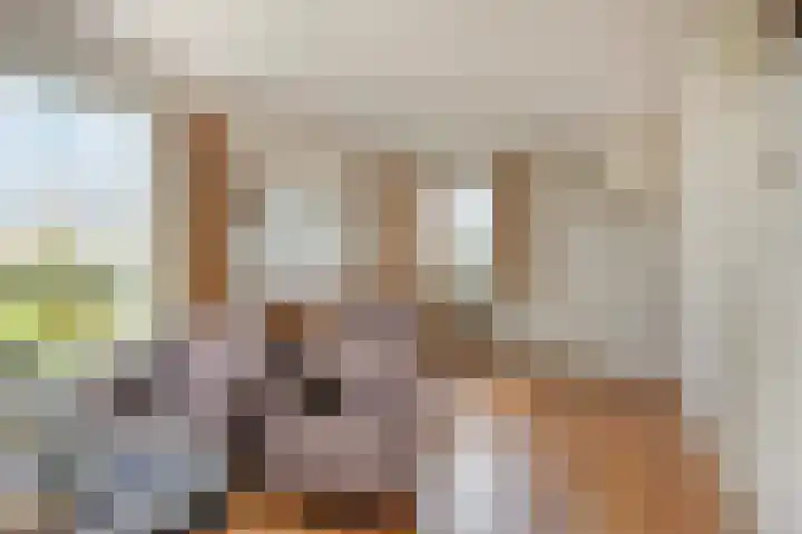 Polderweg 1 Oudheusden thumbnail 11