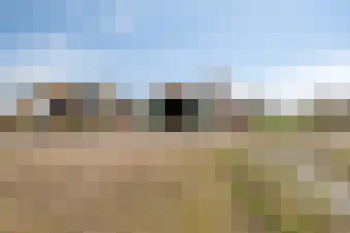 Polderweg 1 Oudheusden thumbnail 30