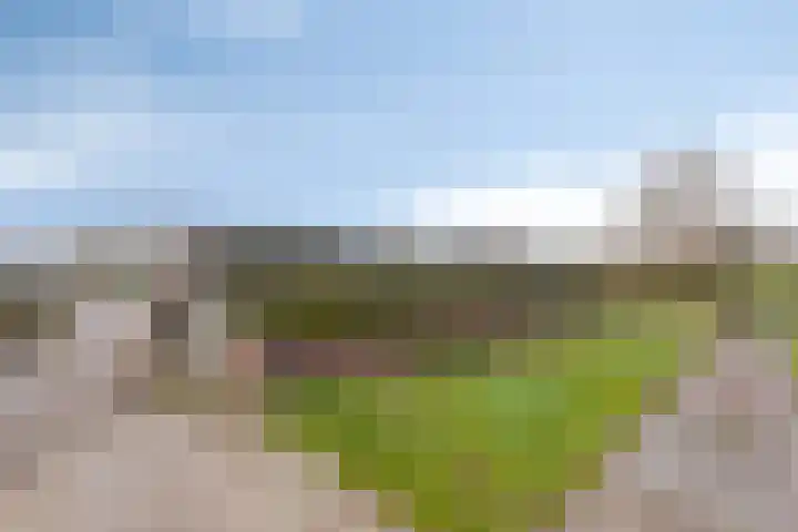 Polderweg 1 Oudheusden thumbnail 31