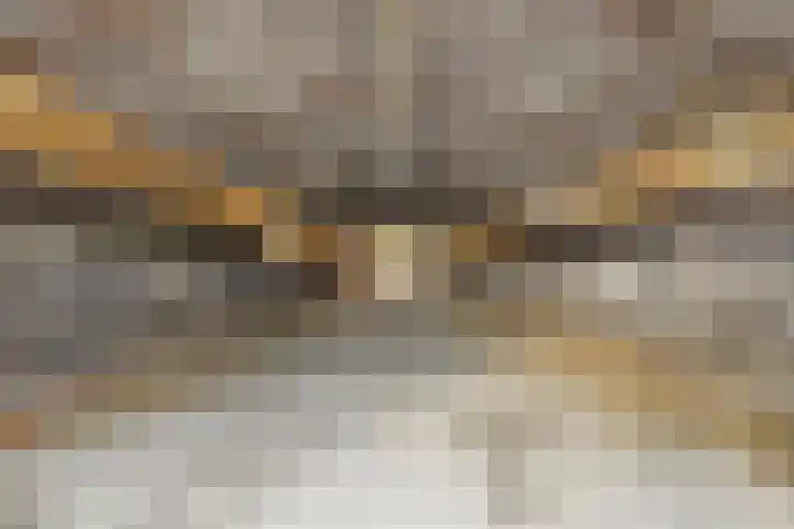 Polderweg 1 Oudheusden thumbnail 32