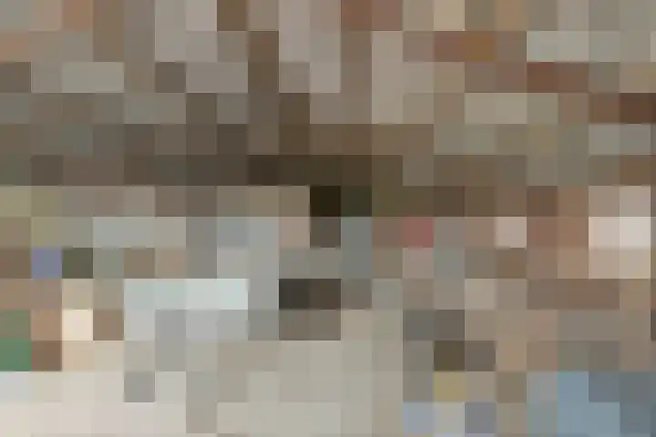 Polderweg 1 Oudheusden thumbnail 33