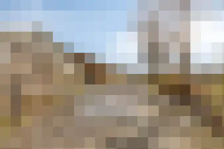 Polderweg 1 Oudheusden thumbnail 36
