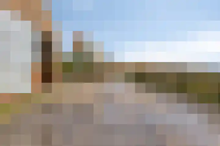 Polderweg 1 Oudheusden thumbnail 38