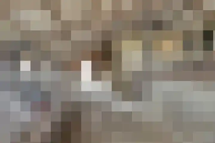 Polderweg 1 Oudheusden thumbnail 39