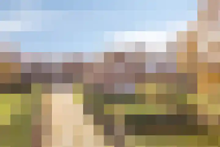 Polderweg 1 Oudheusden thumbnail 5