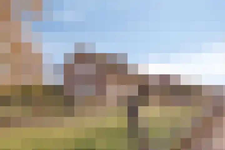 Polderweg 1 Oudheusden thumbnail 6