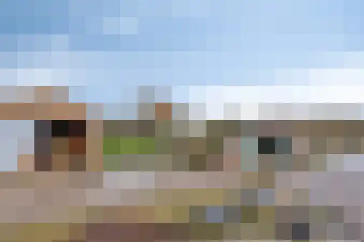 Polderweg 1 Oudheusden thumbnail 7