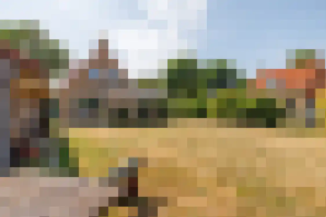 Polderweg 13 Nes thumbnail 41