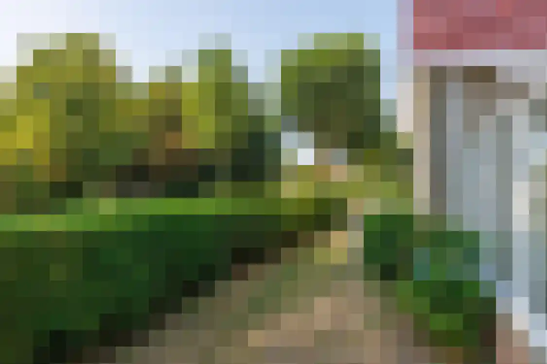 Polderweg 13 Nes thumbnail 46