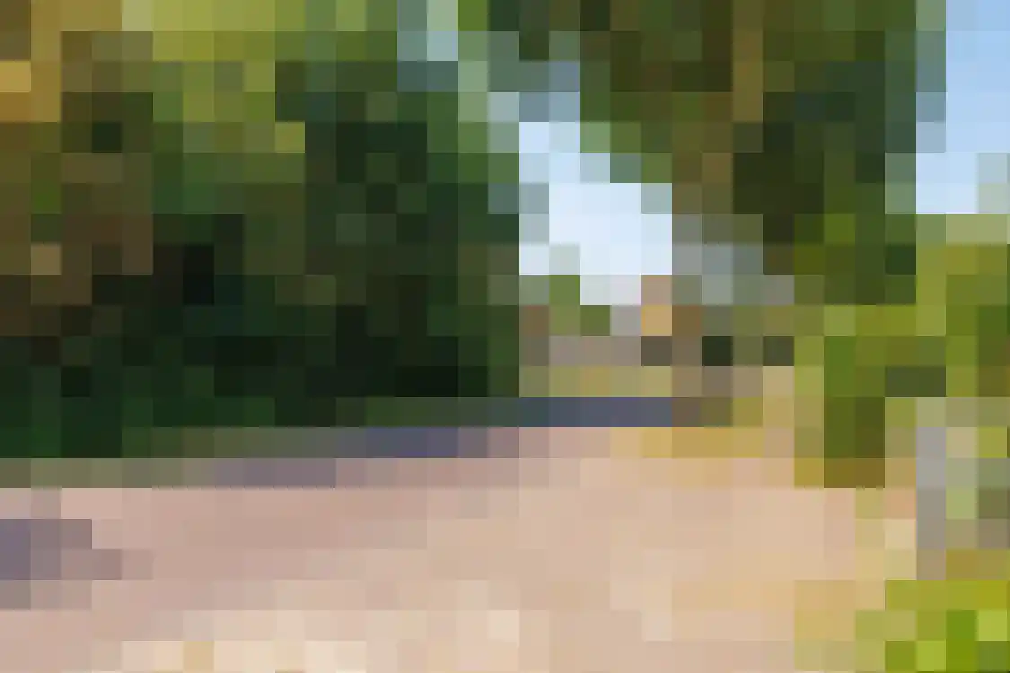 Polderweg 13 Nes thumbnail 47