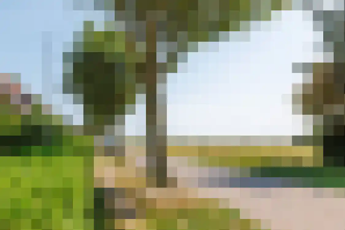 Polderweg 13 Nes thumbnail 48