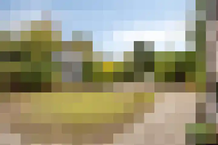 Polderweg 16 Asten thumbnail 30