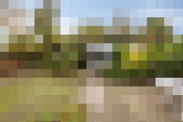 Polderweg 16 Asten thumbnail 31