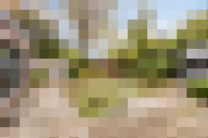 Polderweg 16 Asten thumbnail 32