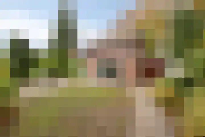 Polderweg 16 Asten thumbnail 33