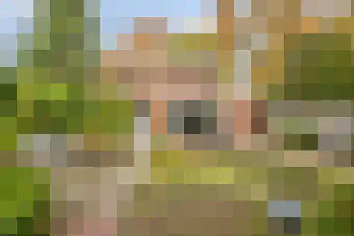 Polderweg 16 Asten thumbnail 34