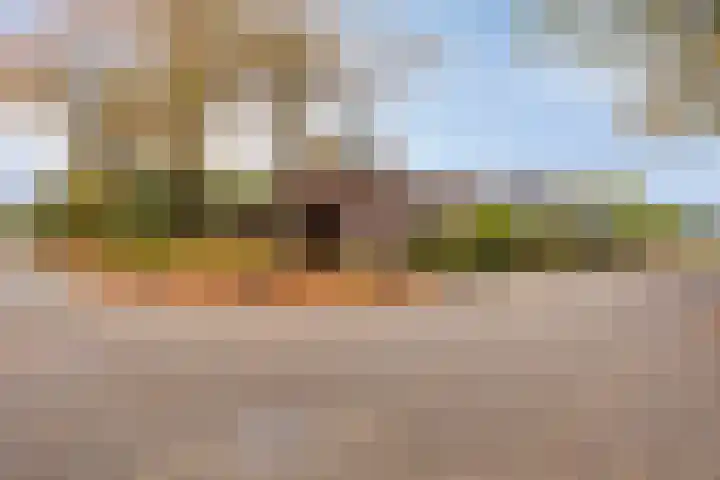 Polderweg 16 Asten thumbnail 35