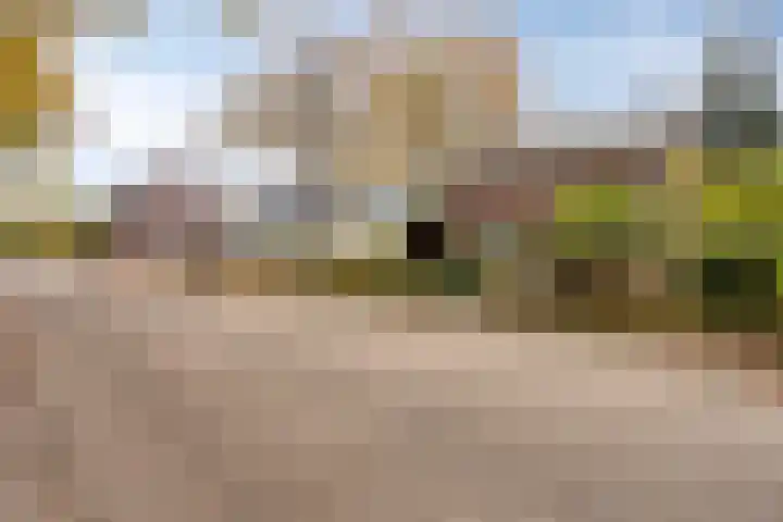 Polderweg 16 Asten thumbnail 36