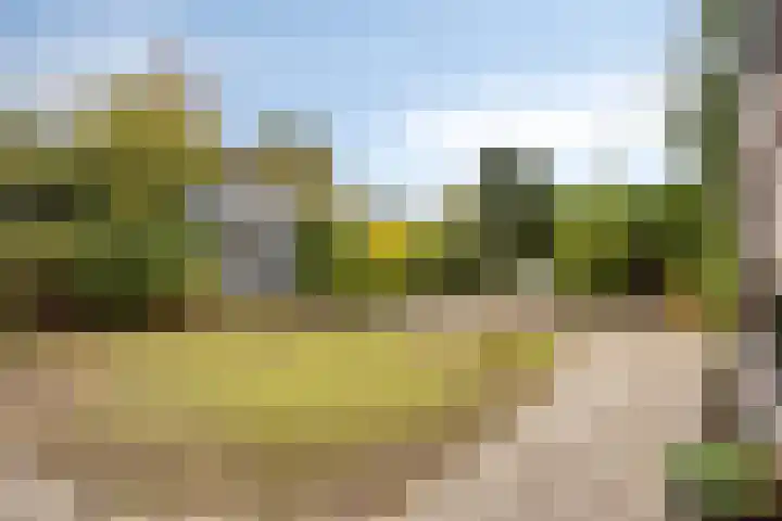 Polderweg 16 Asten thumbnail 4