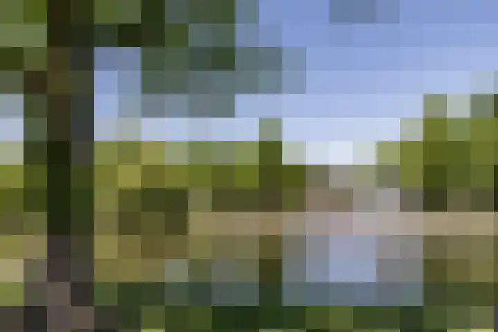 Polderweg 162 Amsterdam thumbnail 27
