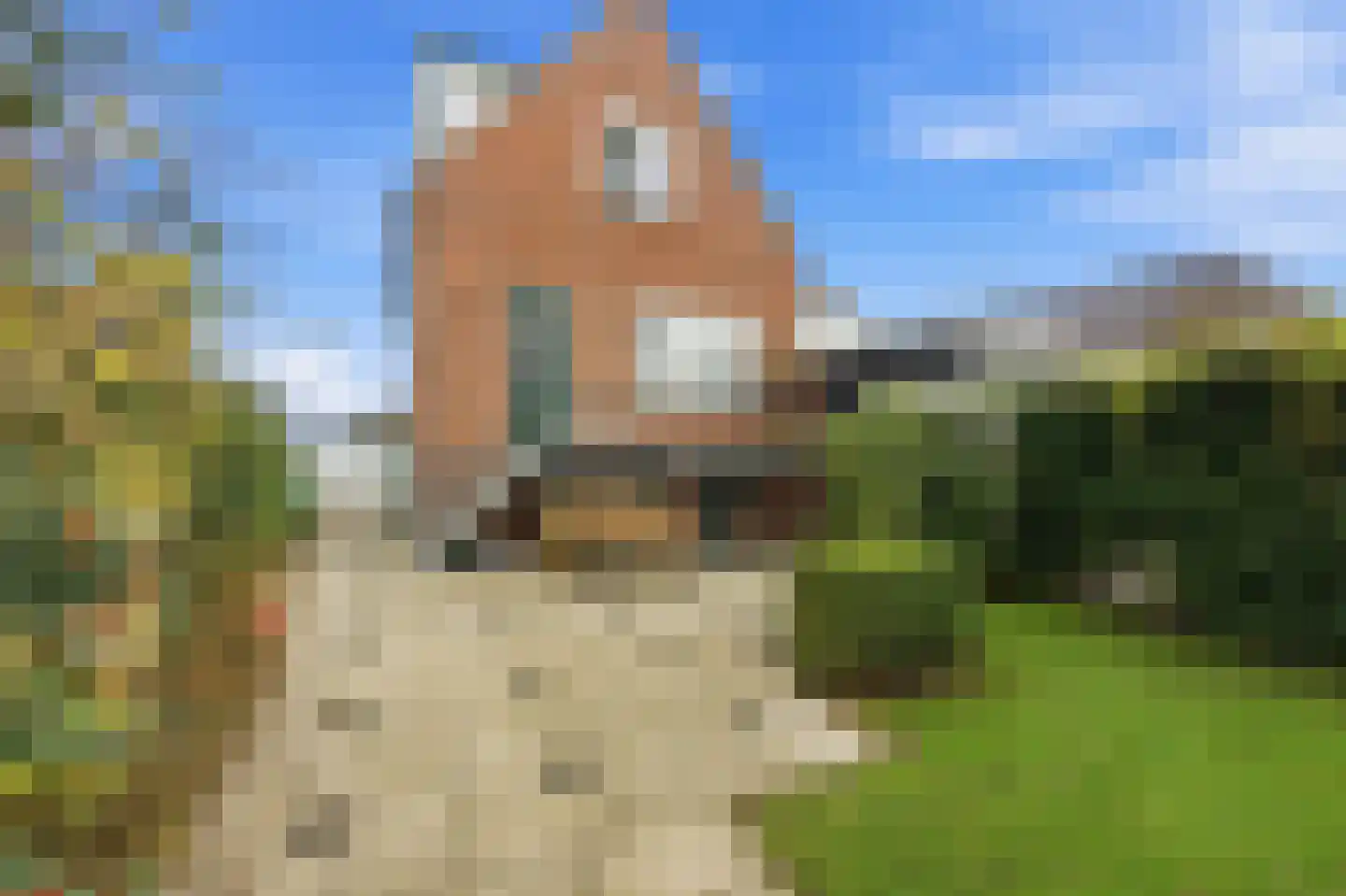 Polderweg 176 Schiedam thumbnail 31
