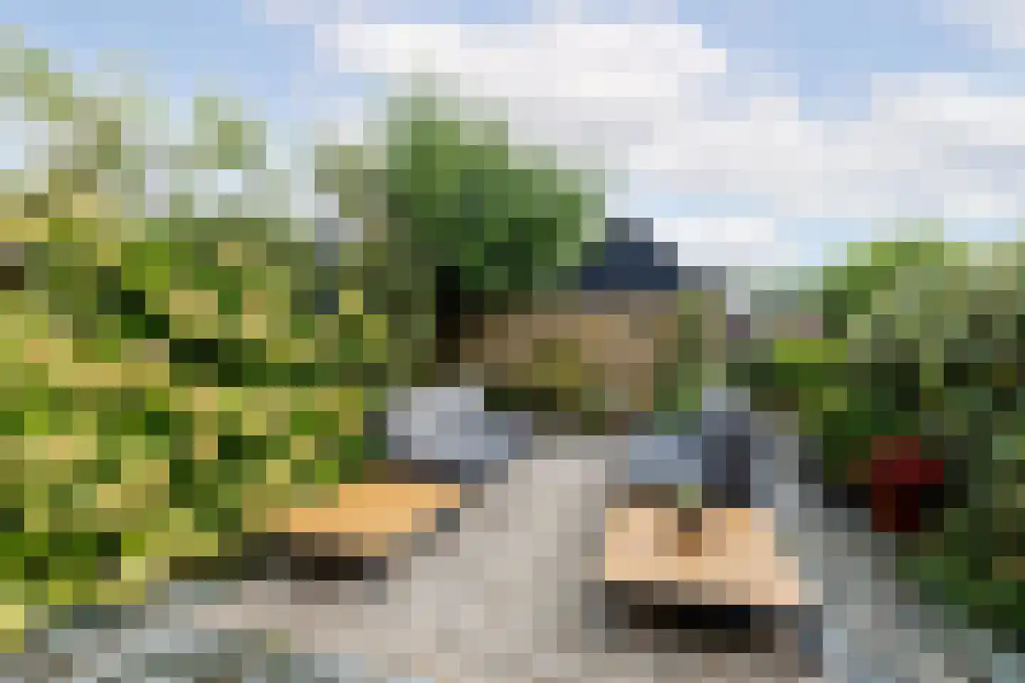 Polderweg 194 Schiedam thumbnail 25
