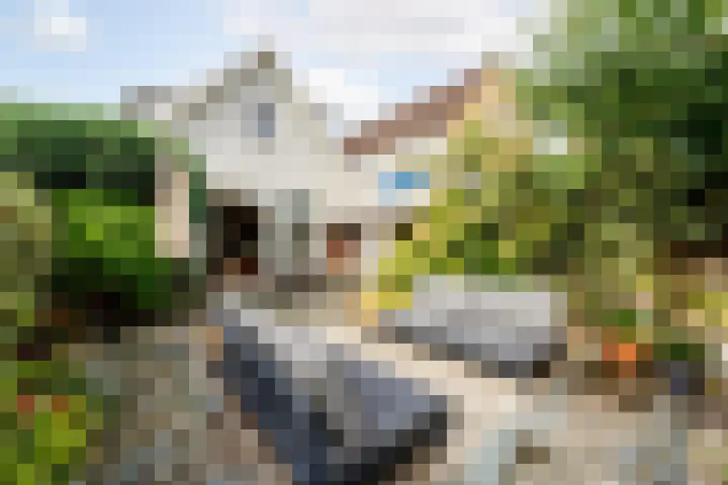Polderweg 194 Schiedam thumbnail 26