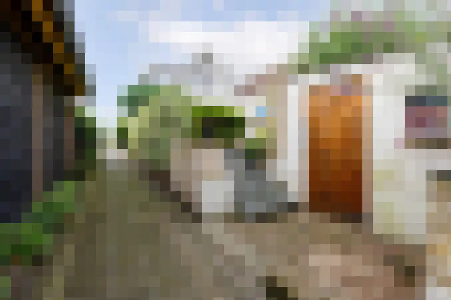 Polderweg 194 Schiedam thumbnail 31