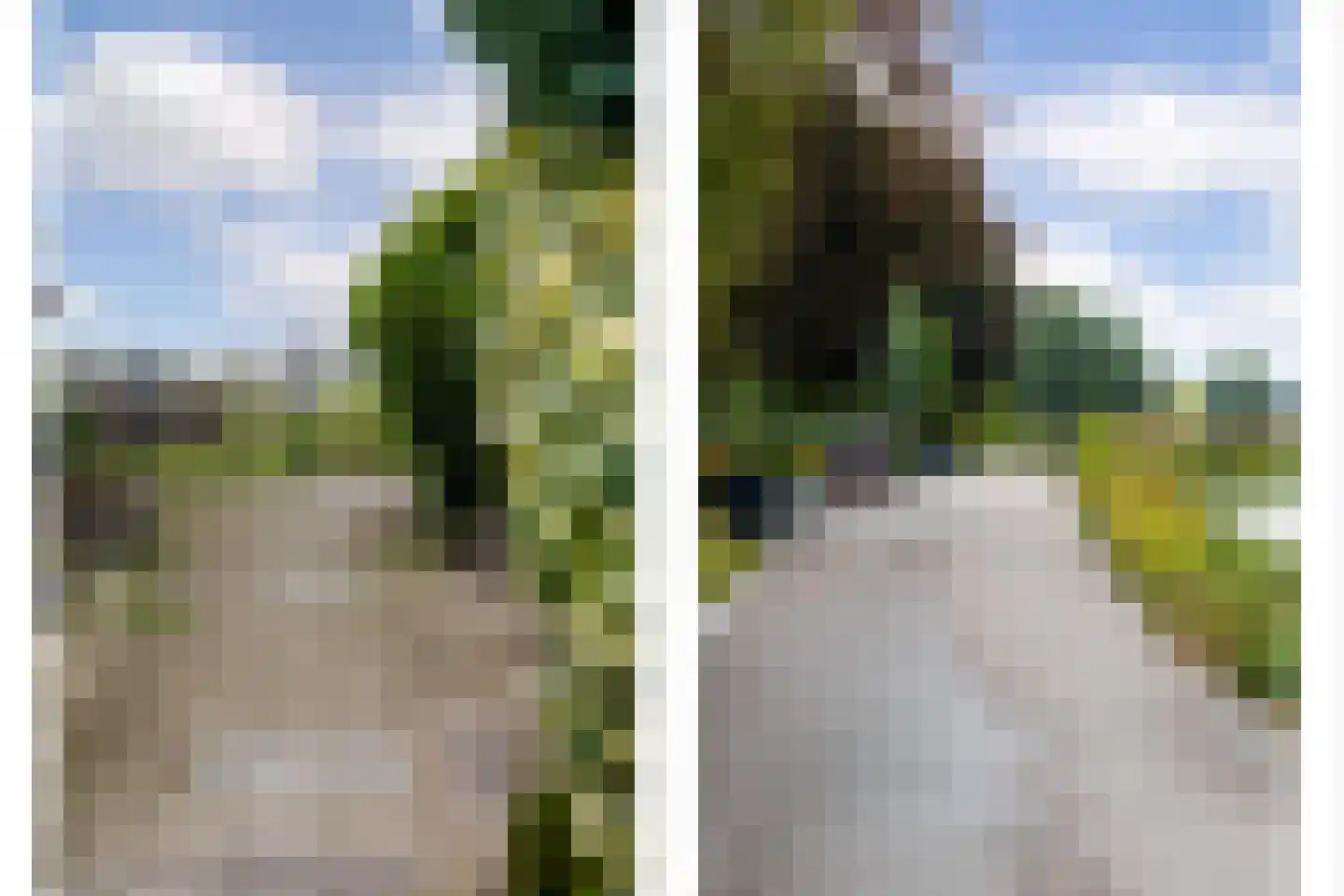 Polderweg 194 Schiedam thumbnail 47