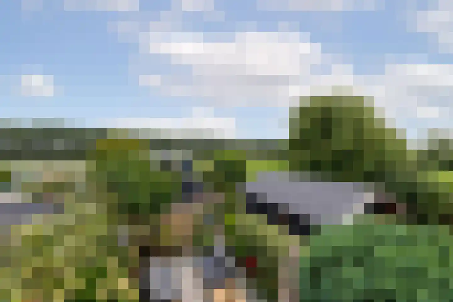 Polderweg 194 Schiedam thumbnail 5