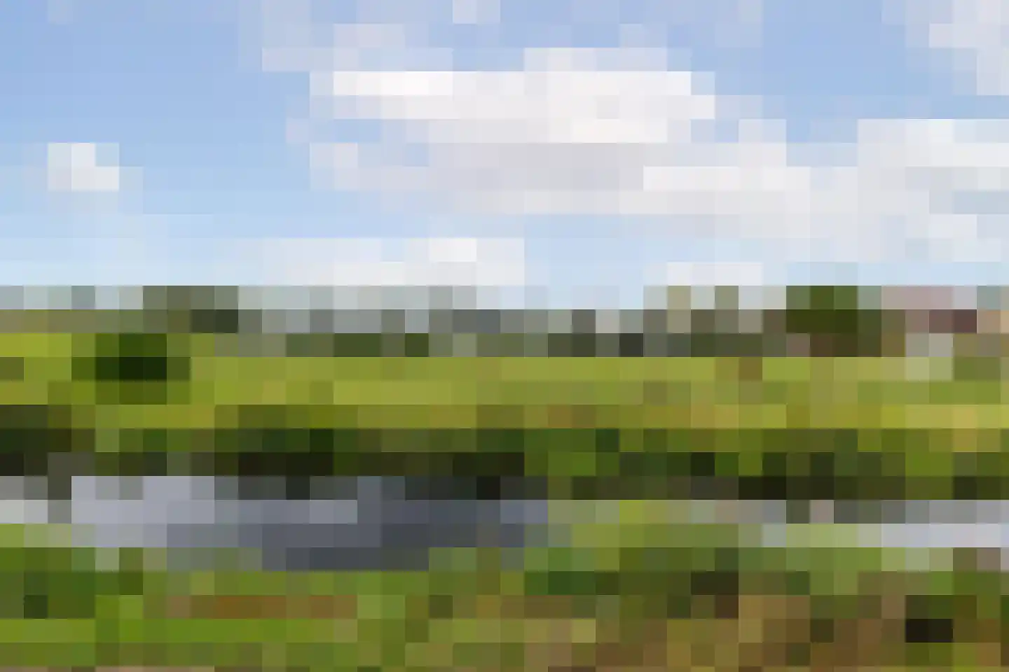 Polderweg 194 Schiedam thumbnail 6