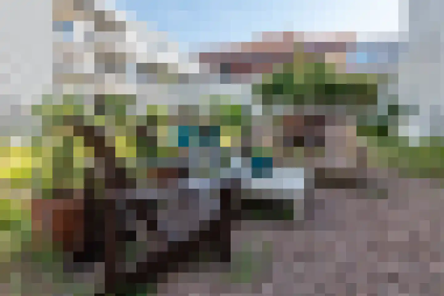 Polderweg 202 Amsterdam thumbnail 24