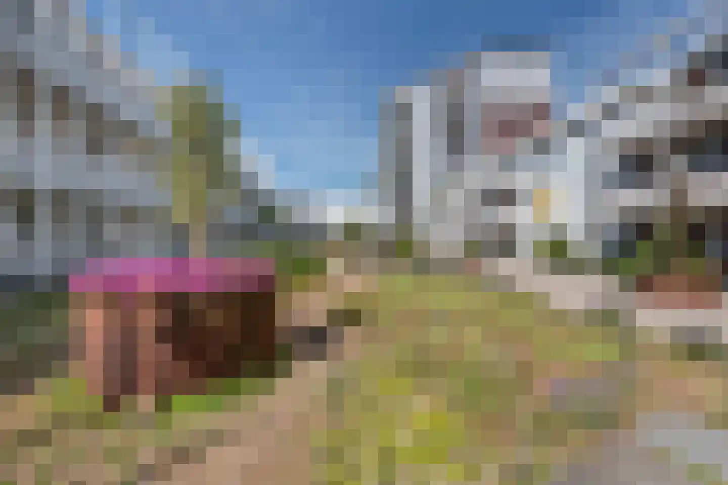 Polderweg 202 Amsterdam thumbnail 26