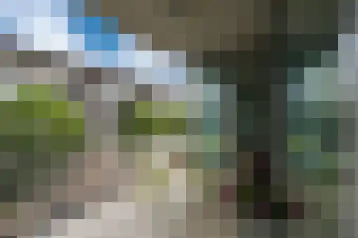 Polderweg 208 Amsterdam thumbnail 12