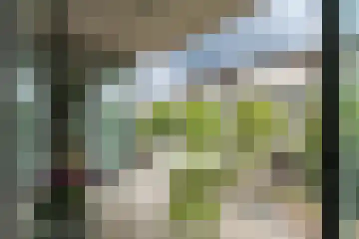 Polderweg 208 Amsterdam thumbnail 14