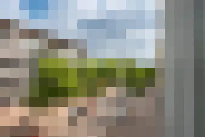 Polderweg 208 Amsterdam thumbnail 15