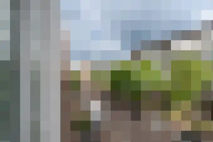 Polderweg 208 Amsterdam thumbnail 16