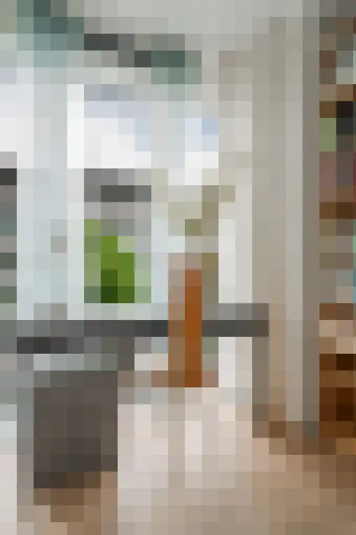 Polderweg 208 Amsterdam thumbnail 21