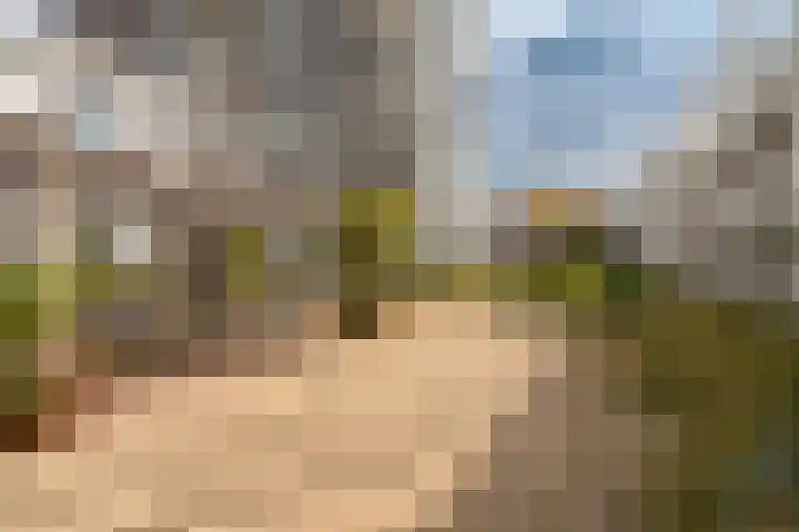 Polderweg 208 Amsterdam thumbnail 28