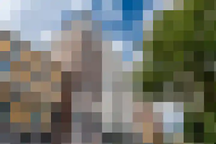 Polderweg 208 Amsterdam thumbnail 30