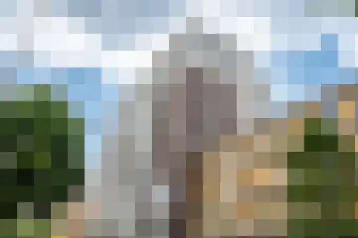 Polderweg 208 Amsterdam thumbnail 31