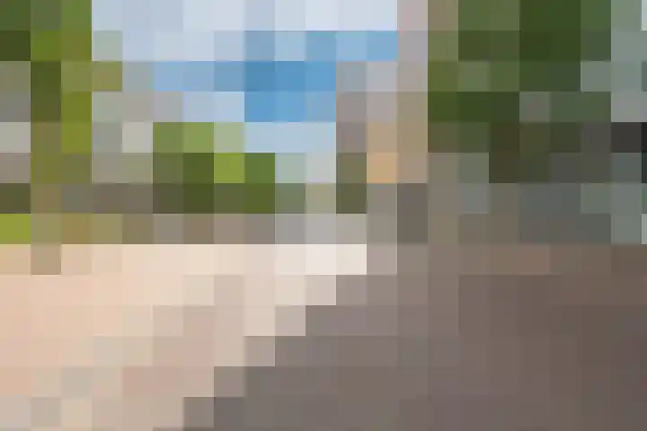 Polderweg 208 Amsterdam thumbnail 32