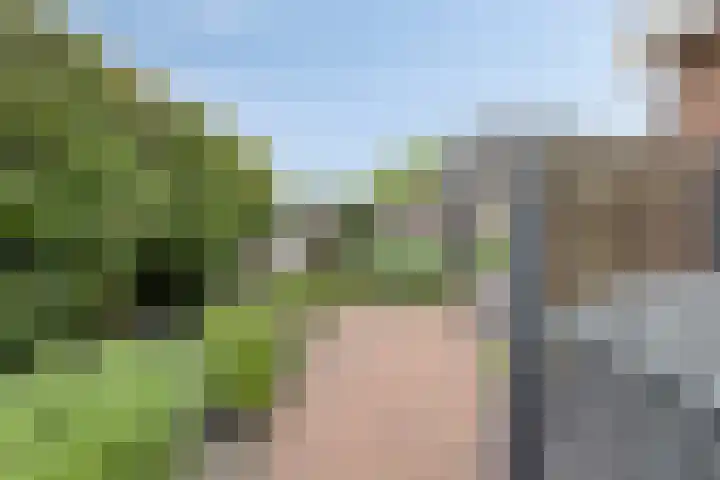 Polderweg 23 Annerveenschekanaal thumbnail 49