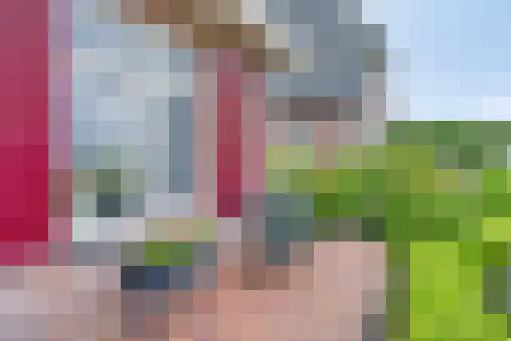 Polderweg 23 Annerveenschekanaal thumbnail 5