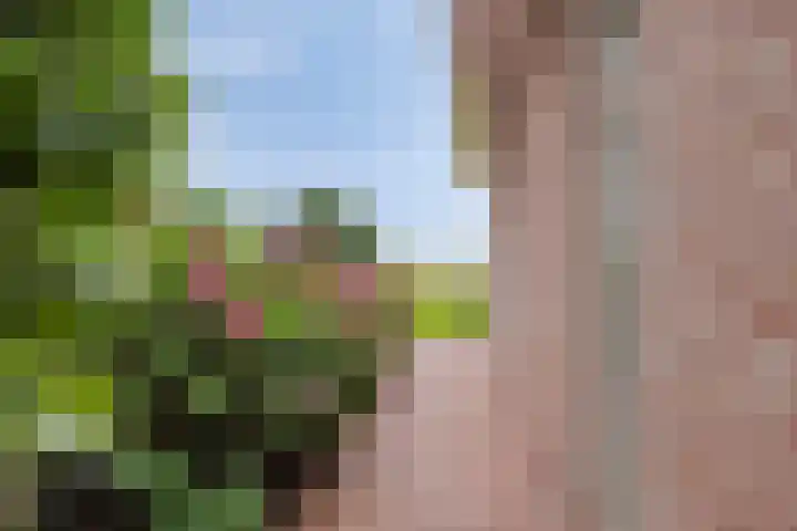 Polderweg 23 Annerveenschekanaal thumbnail 53